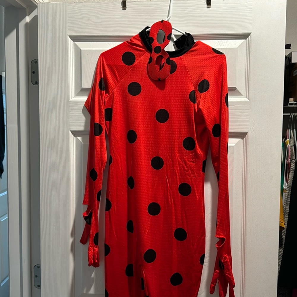 Women’s Miraculous Ladybug Costume